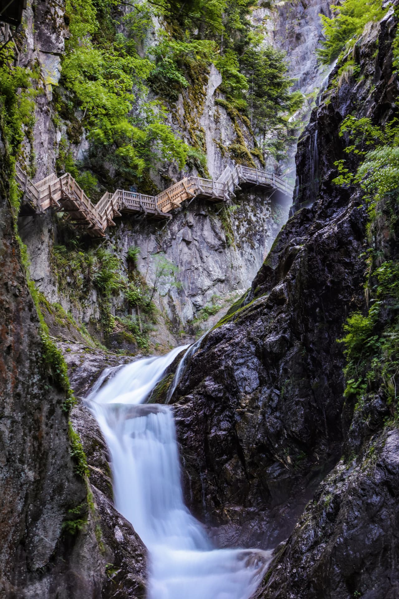 Stege der Durnand-Schlucht von unten im Grün