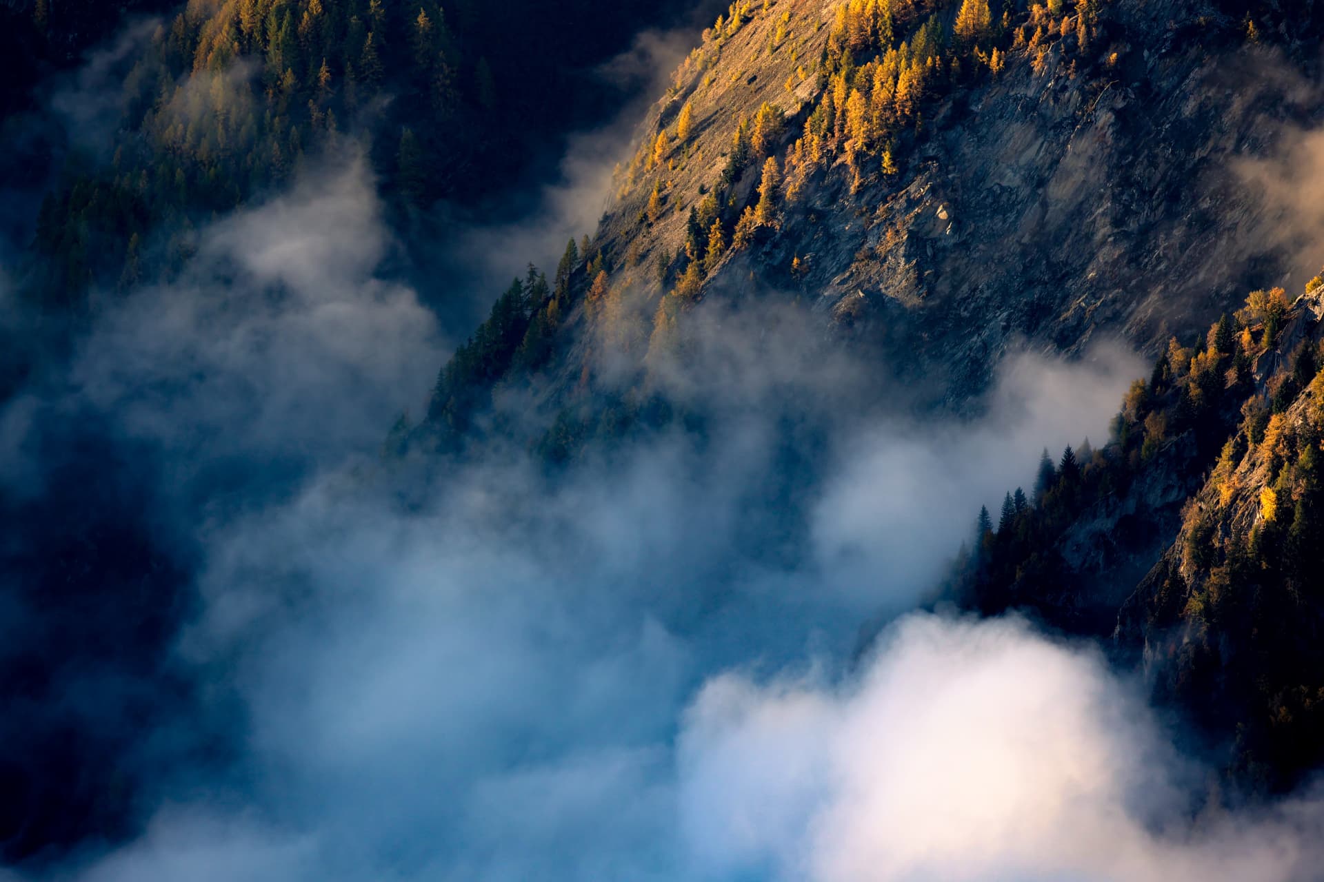 Nebel zwischen goldenen Herbstlärchen an einem steilen Hang
