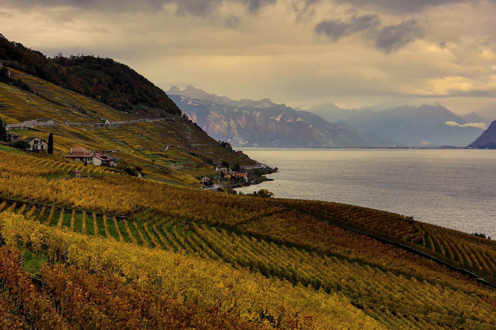 Lavaux — die UNESCO-Weinterrassen am Genfersee, ab Sion